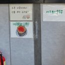 1237분식