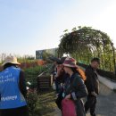 정부세종청사 옥상 정원길 이미지