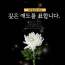 써밋영어전문학원 네이버블로그