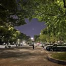 올림픽공원 북2문 이미지