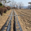 오빈공인중개사사무소 이미지