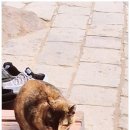 호텔루나 이미지