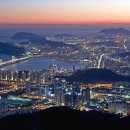 장산 Daum카페