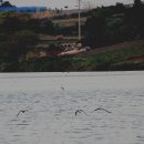 노을수산 이미지