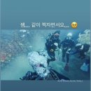 멍서당 | 박길동의 오픈워터다이버 가보자고! @스쿠비다이브
