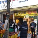 대박청과야채