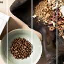 회춘당약국 이미지