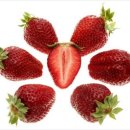 김영삼농장 이미지