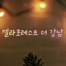 강남고시텔 - 용인시 기흥구 강남동로 10 | 강남역 역삼역 역세권 프리미엄 원룸텔 엘라포레스트 더 강남 솔직 추천 후기