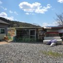 둠지능이버섯백숙 이미지