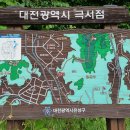 대전둘레산길(9구간) | [1차 대전시 경계걷기] 9구간(극서점-백운봉-도덕봉-삽재) 산행