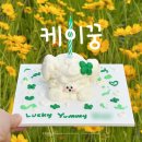 복자여중고 | [천안/케이크] 천안역 귀염뽀짝 레터링 케이크샵, 케이꿍 한입케이크