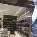 블라썸필드 이미지