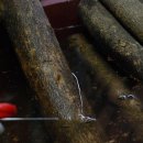 대동주상가 이미지