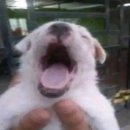 케이씨에너지(주) | 10CM 소극장 콘서트 4.99999999 막공 후기