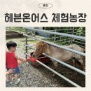 유준농장 | 용인 아이와 가볼만한 곳 헤븐온어스 | 동물 먹이주기 블루베리 수확 체험 꿀팁 총정리