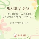 새실 | 영암 1+1 여행, 정원뷰가 예쁜카페, 새실 후기