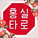 카드로 힐링하는 타로 이미지