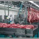 코다시스템 | ‘고기유통’, 가격만 보고 선택했다가 큰코다친 후기