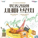 고등학교 합주발표회 이미지