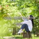 사람은 사랑한 만큼 산다 이미지