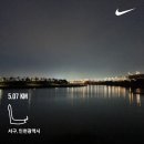 루오지