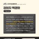 스마트동물병원 군자점 이미지