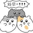 모모라면 24시무인카페
