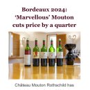 Bordeaux 2024, en primeur: Château Cos d’Estournel price falls 29%! 이미지