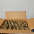 은서농장 이미지