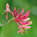 인동쉼터 이미지