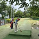 파크골프 입문 이미지