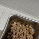 아는수의사 동물병원 이미지