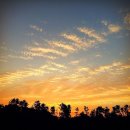 CU SK경기주유소점 이미지