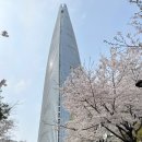 올림픽타워오피스텔 | 송파구 석촌호수 벚꽃축제 푸드트럭 솔직 후기 | 공연 시간 라인업 유모차 동선 꿀팁