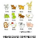 9월4일 금요일 이미지