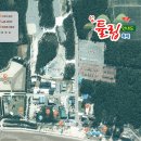 2025 섬 튤립축제 이미지