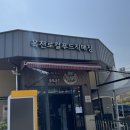 로컬푸드직매장(옥천살림협동조합) | [공지] 충북 옥천로컬푸드 직매장에서 고향의 봄을 느껴요(ft. 옥천두릅맛집, 후리지아 꽃말)