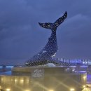 봄바스 민박 이미지