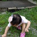 오르비스펜션 이미지