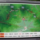 은티농장 이미지