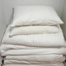 주식회사 본가한옥집 | 충남 태안 호텔어라이브 한옥비치리조트 숙박 후기 (객실:풀꽃)