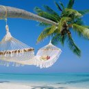 수박이네 이미지