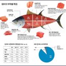 구일서 참치 이미지