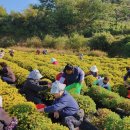 산청지역자활센터 이미지