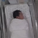 청주엠에스산후조리원 후기