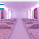 스파월드 이미지