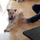 대화고등학교 이미지