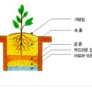 희망나무심기2 이미지