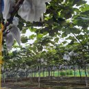 방산농장 이미지